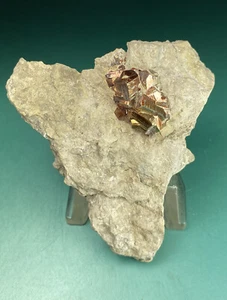 Natürlicher Pyrit Kristall Cluster Knoten in Matrix Schoharie Co., New York - Bild 1 von 5