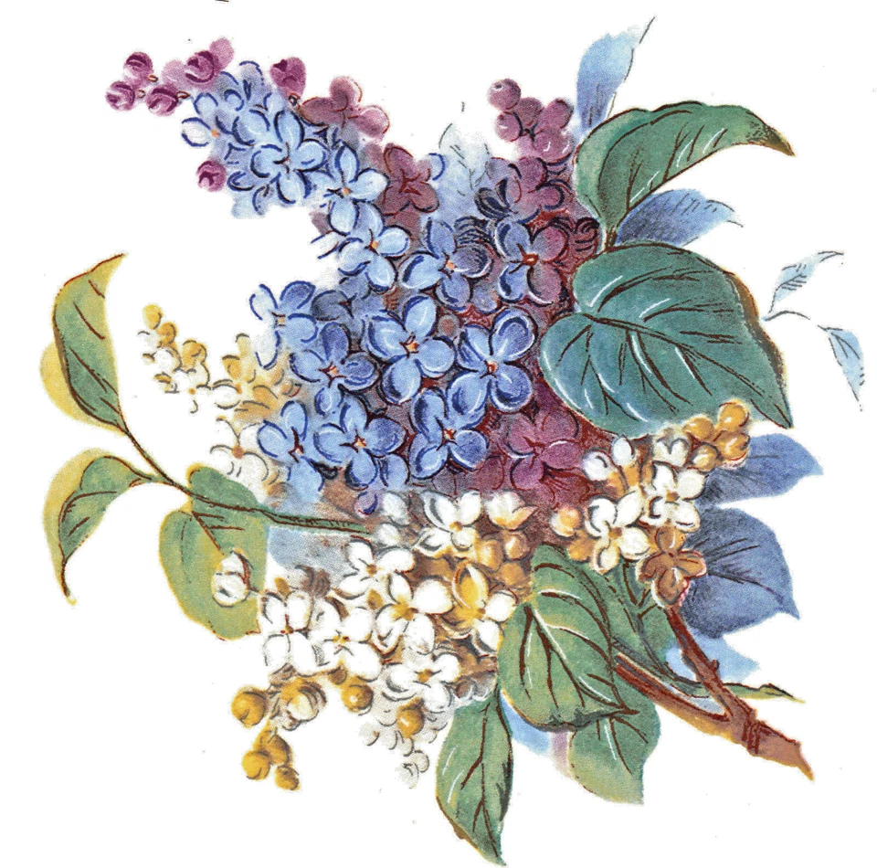 Calcomanías de cerámica púrpura azul blanco lila flor floral Foto 1 de 1