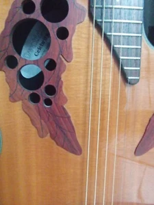 Ovation Celebrity - Foto 1 di 8