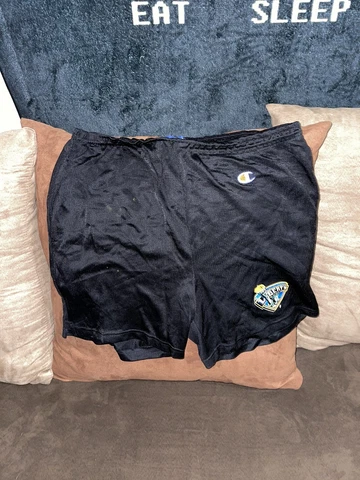 Vintage Champion WNBA New York Liberty Shorts Women’s Size L! Cover