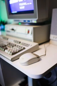 IBM PS/2 Mouse 2-Button Ball Mouse - Rare Bi-Color model 96D9274 - Picture 1 of 4