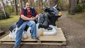 Kuh lebensgroß als Kuhbank 3D😉 HAEIGEMO I Belastbar Sitzfläche 185Kg I Skulptur - Picture 1 of 16