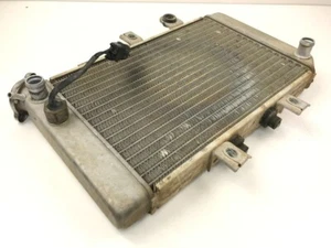 Tapa de radiador de refrigeración del motor Polaris Predator 500 05 - Imagen 1 de 6