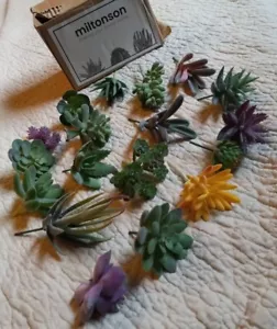 3 Boxes Of 18 NIB Artificial Mini Succulent Plants Fake Assorted Textured - Picture 1 of 7