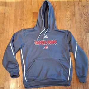 Adidas Sacred Heart Pioneers Hockey Stehkragen Team ausgestellt grau Hoodie Herren Medium - Bild 1 von 7