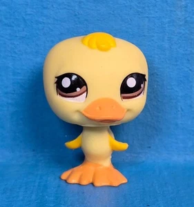LPS Littlest Pet Shop Authentic Yellow Purple Duck Bird 1522 1196 01 - Picture 1 of 5