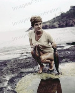 (2) 8x10 Prints Rossana Podesta Sexy Beach Shots #RPAA B - Picture 1 of 2