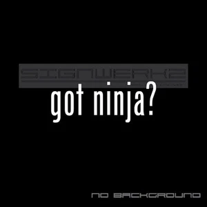 got ninja Decal Sticker Die Cut Decal Self Adhesive kawasaski moto gp bike Pair - Bild 1 von 12