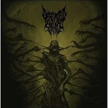 Passages Into Deformity von Defeated Sanity | CD | Zustand sehr gut - Bild 1 von 2