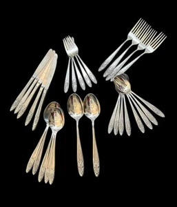 29pc CONTINENTAL Stainless Japan CSS31 Gothic MCM Dinner Set Forks Spoons Knives - Picture 1 of 18