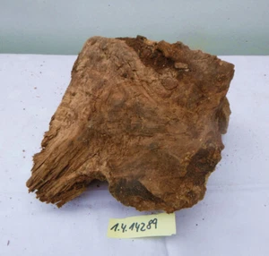 Olive Olivenholz Drechselholz Wurzel Terrarium Rohling Klotz Schneidebrett Stift - Bild 1 von 3