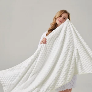 Cloud Plush Soft Absorbent and Quick Drying Coral Plush Bath Towel New - Picture 1 of 30