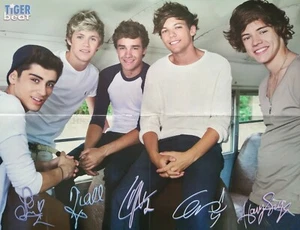 ONE DIRECTION - A2 Poster (XL - 40 x 52 cm) - Harry Styles Clippings Ausland USA - Bild 1 von 1