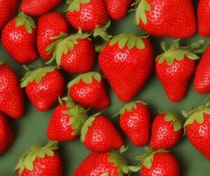 Erdbeeren Erdbeerpflanzen Anbau-Set Frigo Senga Sengana 10-50 Stück Varianten - Bild 1 von 16