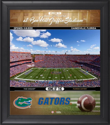 Florida Gators Framed 15x17 Welcome Home Collage - Fanatics Cover