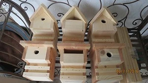 Verschiedene Nistkästen, Mardersicher, Massivholz, super Qualität, Naturschutz - Bild 1 von 14