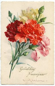 Illustrator Klein. Blüten. - Picture 1 of 1