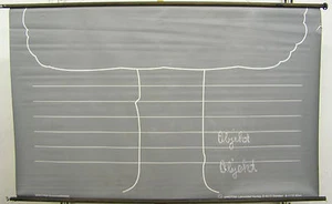 Schulwandkarte Carte Murale Grammatik Tableau Grammatiktafel Arbre École - Bild 1 von 2