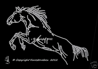 Hotfix Bügelbild Strass Motiv Pferd  Wildpferd Bügelmotiv 160505 Karostonebox - Bild 1 von 2