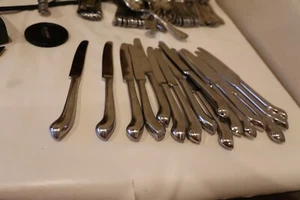 ONEIDA CAPELLO Dinner Knife, Stainless Flatware Silverware, 1 - Picture 1 of 2