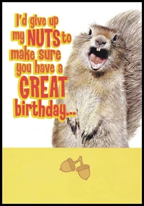 Greeting Card - Squirrel - Birthday - 0248 - Picture 1 of 2