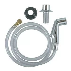 OPEN BOX-Danco Chrome Head/Hose Assembly #88814 - Picture 1 of 8