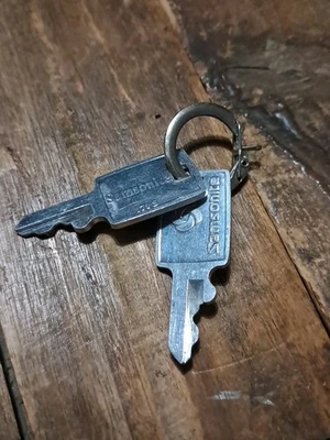 Paire de 2 clés pour Valise Samsonite - Photo 1/3