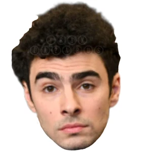 Luigi Head Sticker / Funny Luigi Margione parody / Die Cut - Picture 1 of 4