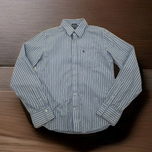 Abercrombie & Fitch Shirt Mens Sz L Blue Stripe Career Formal Wear Long Sleeve - Picture 1 of 9