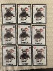 Beanie Babies New York Mets Curly Card Lot Rare 8/22/98