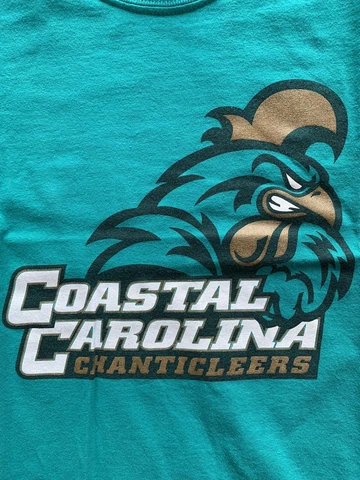Coastal Carolina University Chanticleers MEDIUM Adult Gildan Ultra Cotton CCU Cover