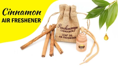 Aire Coche Perfume Ornamento Colgante Gadget Difusor Aceite Canela Botella Ambientador  Foto 1 de 4