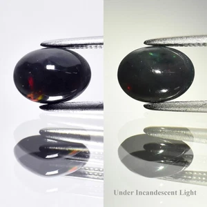 π 0.75ct 8x6mm Oval Cabochon Natural Black Opal - Color Play, Ethiopia Gem - Picture 1 of 6