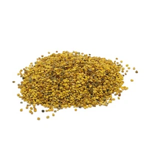 Blütenpollen - Bild 1 von 1
