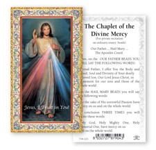 Divine Mercy Chaplet Gold Embossed Paper Prayer Card 2" x 4", 100 Per Pack
