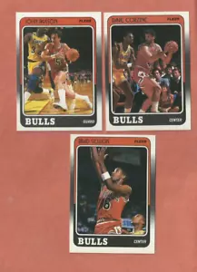 1988-89 FLEER CHICAGO BULLS TEAM CARD LOT - Picture 1 of 1