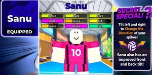 VolleyBall Legends Acc | Estilo SANU | Capacidad aleatoria | BARATO - Imagen 1 de 1