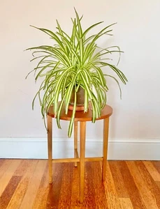Vintage Folding Side Table Round 1960/70 Plant Stand Decor Interior Fold Up Pine - Picture 1 of 8