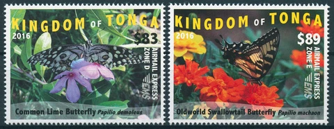 Tonga 2016 MNH Butterflies 2v Set Insects Lime Swallowtail Butterfly EMS Stamps Cover