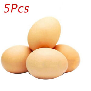 Artificial Eggs Decoration Display Dummy.toy Plastic Poultry Props Easter 5PCS