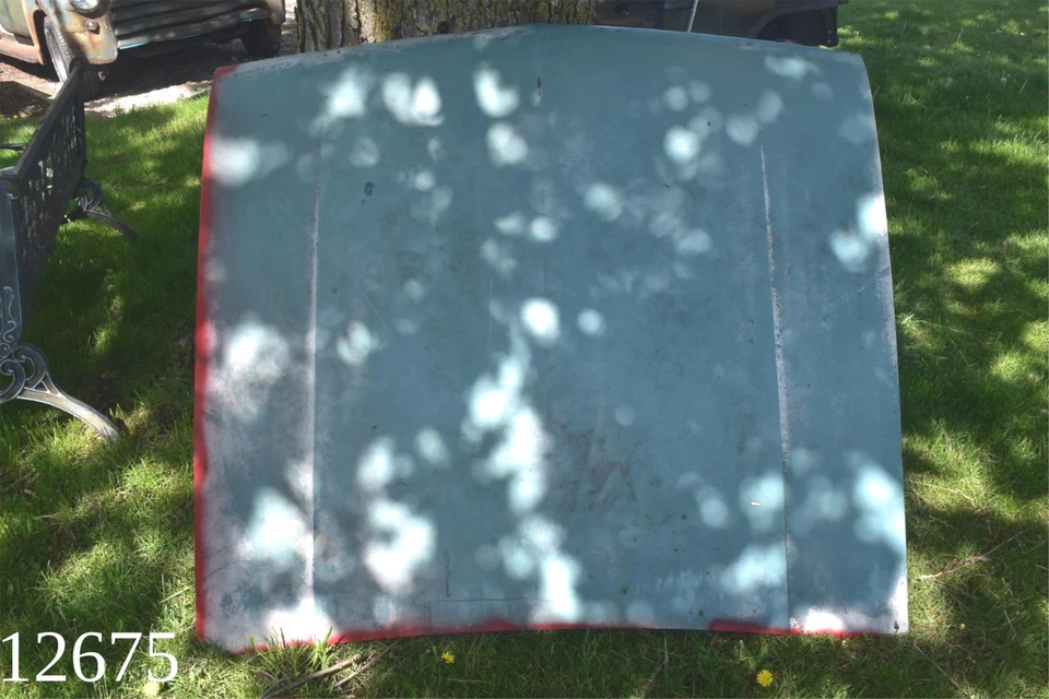 Ford Galaxie 500 1964 capó panel capó capó 64 Foto 1 de 4