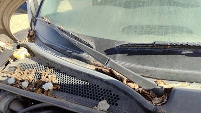 2001-2010 Chrysler Pt Cruiser пассажирский правый стеклоочиститель рычаг лезвие рычаг - Изображение 1 из 3