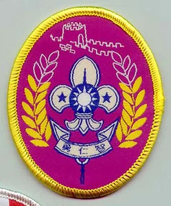 Extinct Scouts of China (Taiwán) - Great Wall Scout Insignia de premio superior de rango más alto - Imagen 1 de 1