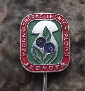 Vintage Collector of Forest Fruits Woodland Mushroom Blueberry Award Pin Badge - Picture 1 of 3