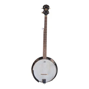 Austin AU675 Beginner Banjo Case Included  - Picture 1 of 5