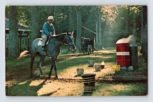 Postcard New York Saratoga Springs NY Horse haven Race Track 1960s Unposted - Picture 1 of 2