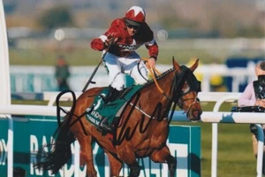 Davy Russell Firmado a Mano Rollo de Tigre 6x4 Foto Carrera de Caballos Autógrafo 5 - Imagen 1 de 1
