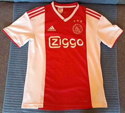 AJAX AMSTERDAM 2018/19 Football Shirt Soccer Jersey Fussball Trikot Calcio Top Cover