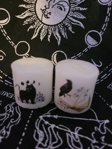 Witches Candle  Wicca Witchcraft spellcraft Black Cat and Raven - Picture 1 of 5