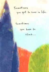 Incoraggiamento per il recupero a volte si sale o si vola Hallmark biglietto di auguri  - Foto 1 di 3